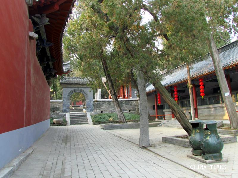 1527652657448048587.jpg 卧龙岗009.jpg