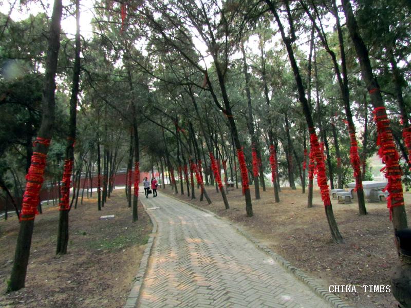1527652701190009049.jpg 卧龙岗006.jpg